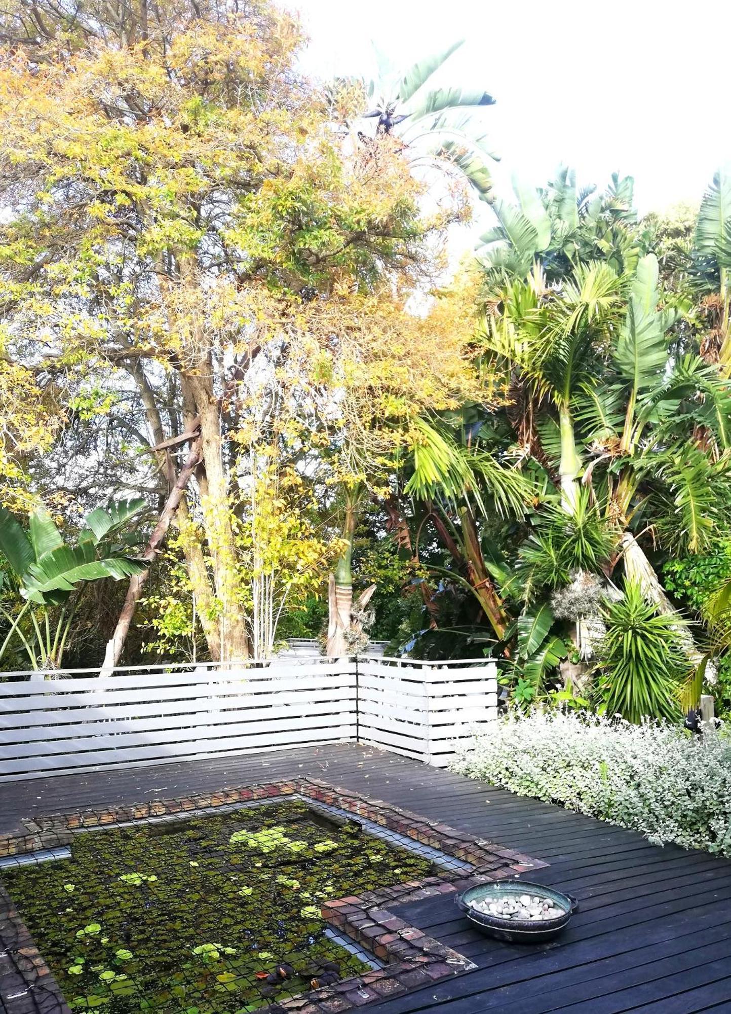 Plett Retreat Apartment Plettenberg Bay Exterior foto